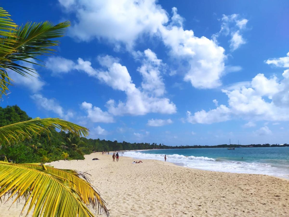 Imagine972 Martinique Bateau Hotel A Quai Le Marin 3 Cabines 3 Salles De Bains 6 Pers Maxi Kültér fotó